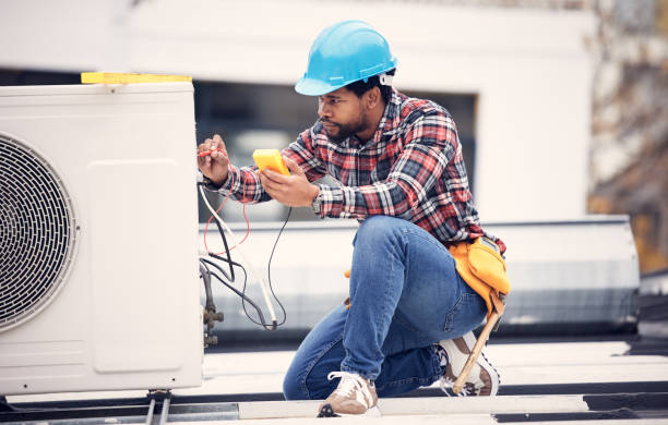 Best Electric Panel Repair  in Falfurrias, TX